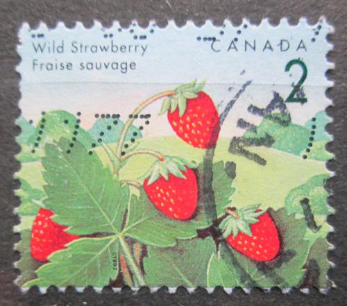 Poštová známka Kanada 1992 Jahody Mi# 1308