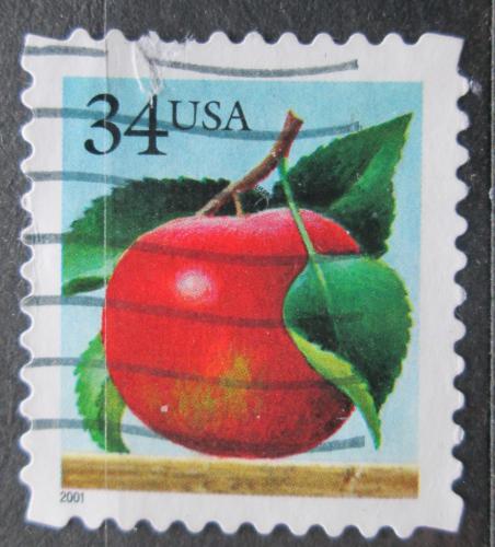 Poštová známka USA 2001 Jablko Mi# 3440 BA