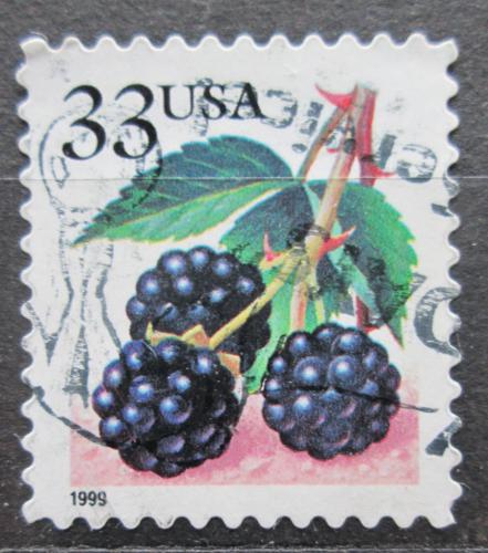 Poštová známka USA 1999 Ostružiny Mi# 3113 IBA