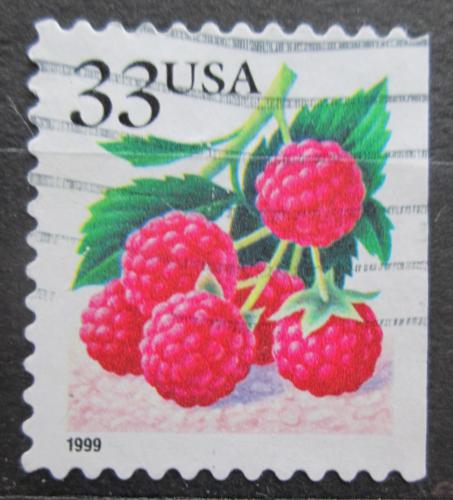 Poštová známka USA 1999 Maliny Mi# 3112 IBD