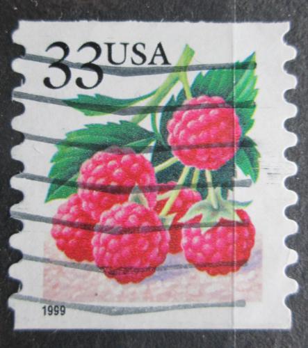 Poštová známka USA 1999 Maliny Mi# 3112 IBL