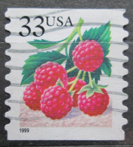 Poštová známka USA 1999 Maliny Mi# 3112 IBL