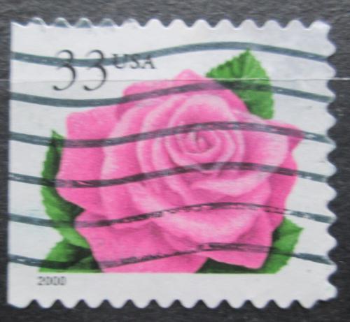 Poštová známka USA 1999 Rùže Mi# 3156 IBD