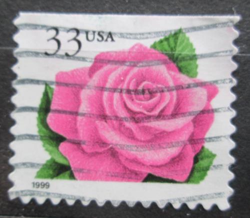 Poštová známka USA 1999 Rùže Mi# 3156 IBD