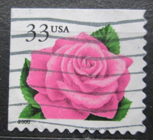 Poštová známka USA 1999 Rùže Mi# 3156 IBE