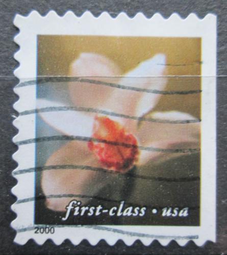 Poštová známka USA 2000 Orchidej Mi# 3398 BD