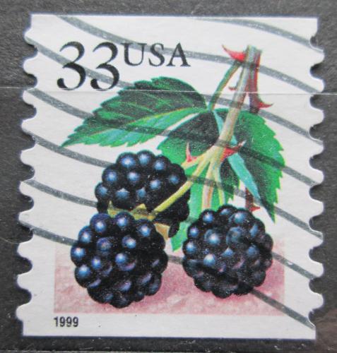 Poštová známka USA 1999 Ostružiny Mi# 3113 IBE