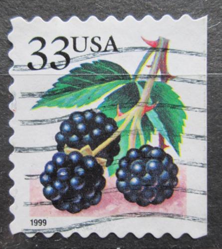 Poštová známka USA 1999 Ostružiny Mi# 3113 IBD