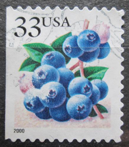 Poštová známka USA 2000 Borùvky Mi# 3110 IIBD