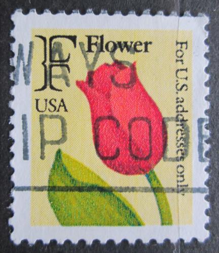 Poštová známka USA 1991 Tulipán Mi# 2116 A