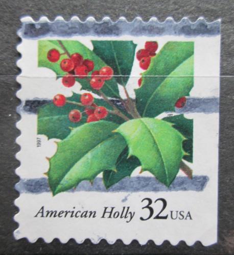 Poštová známka USA 1997 Cesmína, vianoce Mi# 2902 BD