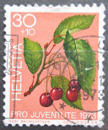 Poštová známka Švýcarsko 1973 Tøešnì Mi# 1014
