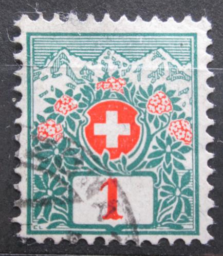 Poštová známka Švýcarsko 1910 Doplatná Mi# 29
