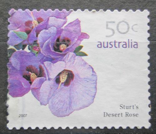 Poštová známka Austrália 2007 Gossypium sturtianum Mii# 2775