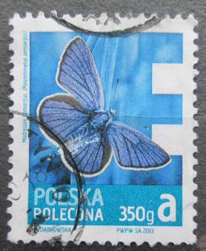 Poštová známka Po¾sko 2013 Modrásek lesní Mi# 4627