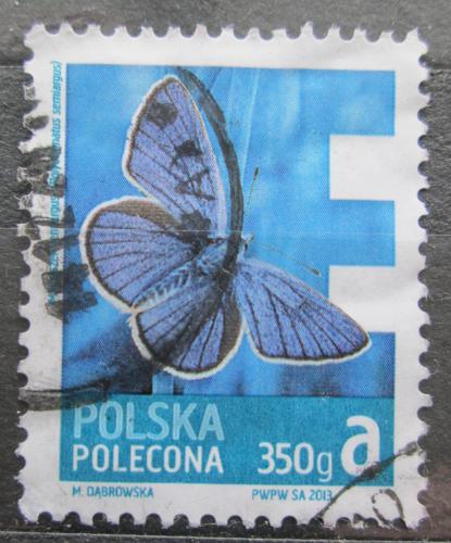 Poštová známka Po¾sko 2013 Modrásek lesní Mi# 4627