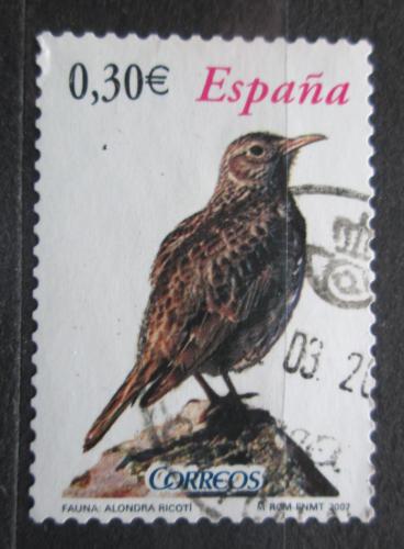 Poštová známka Španielsko 2007 Skøivan Dupontùv Mi# 4258