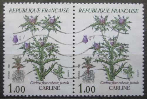 Poštové známky Francúzsko 1983 Carlina flore rubente pár Mi# 2392