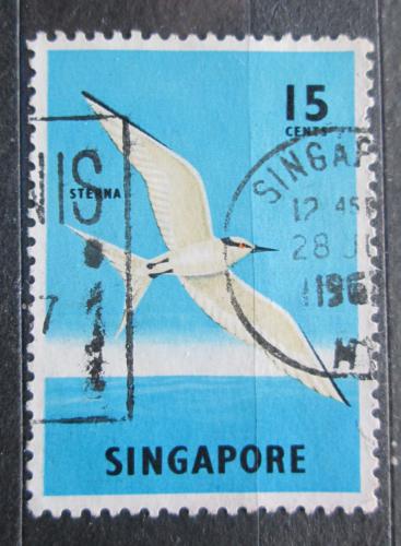 Poštová známka Singapur 1966 Rybák bìlotemenný Mi# 61