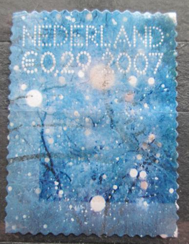 Poštová známka Holandsko 2007 Snìhové vloèky Mi# 2531