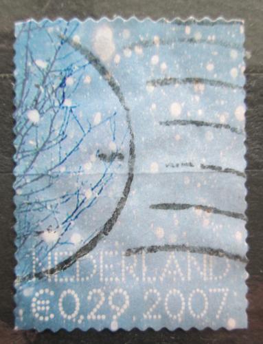 Poštová známka Holandsko 2007 Snìhové vloèky Mi# 2535