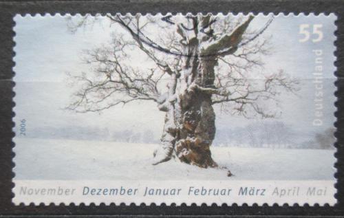 Poštová známka Nemecko 2006 Zima Mi# 2577