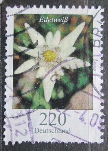 Poštová známka Nemecko 2006 Plesnivec alpský Mi# 2530 Kat 4.20€
