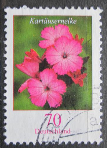 Poštová známka Nemecko 2006 Hvozdík kartouzek Mi# 2529