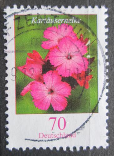 Poštová známka Nemecko 2006 Hvozdík kartouzek Mi# 2529