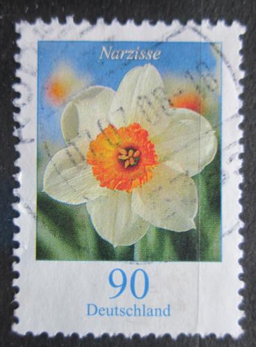 Poštová známka Nemecko 2006 Narcis Mi# 2506