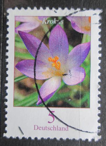 Poštová známka Nemecko 2005 Šafrán Tommasiniho Mi# 2480 A