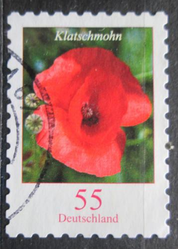Poštová známka Nemecko 2005 Vlèí mák Mi# 2477