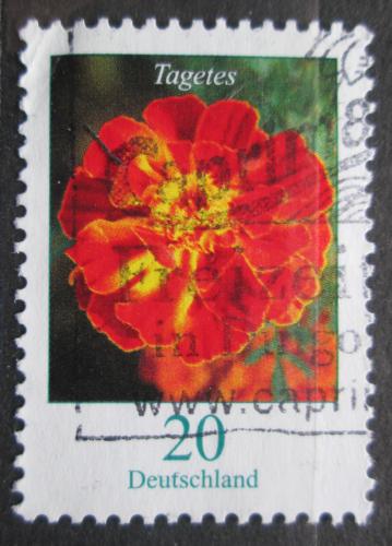 Poštová známka Nemecko 2005 Aksamitník vzpøímený Mi# 2471