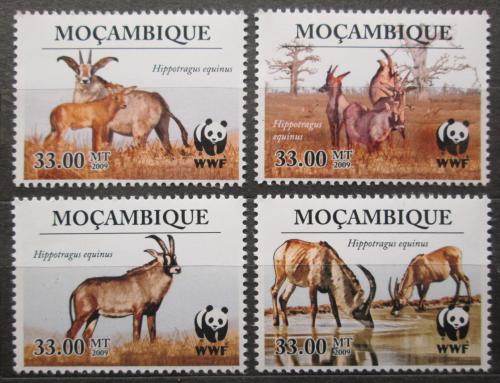 Poštové známky Mozambik 2010 Antilopa koòská, WWF Mi# 3658-61 Kat 6.50€