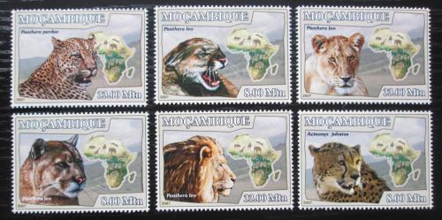 Poštové známky Mozambik 2007 Maèkovité šelmy Mi# 3032-37 Kat 10€