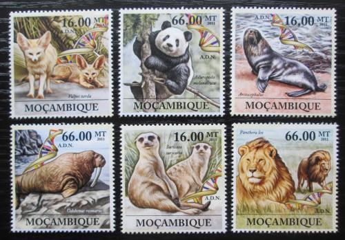 Poštové známky Mozambik 2011 Ohrožená fauna Mi# 5330-35 Kat 23€