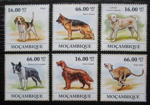 Poštové známky Mozambik 2011 Psy Mi# 5351-56 Kat 23€
