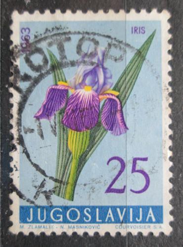 Poštová známka Juhoslávia 1963 Kosatec nìmecký Mi# 1035