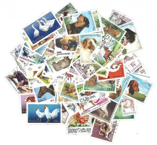 Zostava Domácí zvíøata - 100 rùzných razítkovaných známek