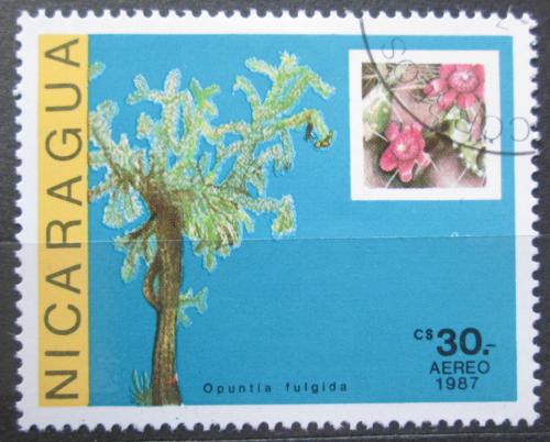 Poštová známka Nikaragua 1987 Kaktus, Opuntia fulgida Mi# 2805