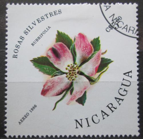 Poštová známka Nikaragua 1986 Rùže sivá Mi# 2634