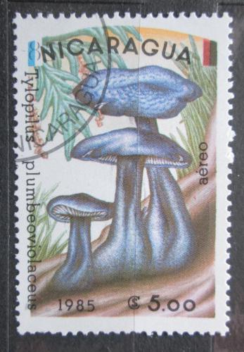 Poštová známka Nikaragua 1985 Høib fialovì šedý Mi# 2566
