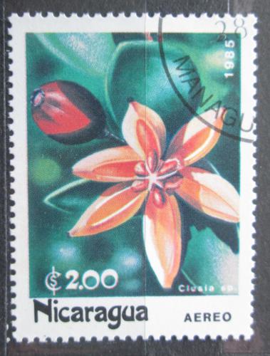 Poštová známka Nikaragua 1985 Klusie Mi# 2589