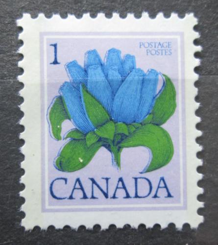 Poštová známka Kanada 1977 Hoøec lahvový Mi# 651