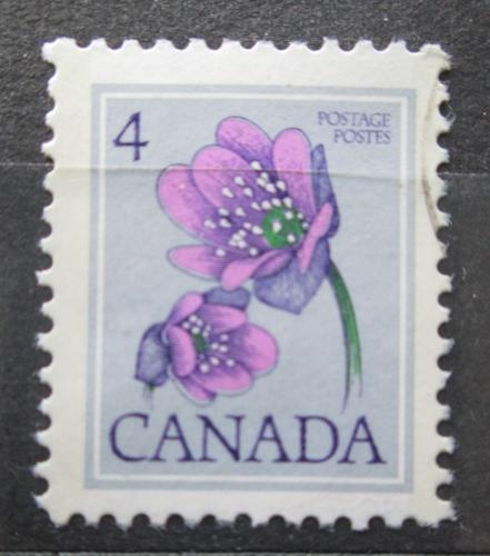 Poštová známka Kanada 1977 Hepatica ostrolaloèná Mi# 654