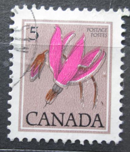 Poštová známka Kanada 1977 Dodecatheon hendersonnii Mi# 655