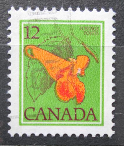 Poštová známka Kanada 1978 Netýkavka kanadská Mi# 694