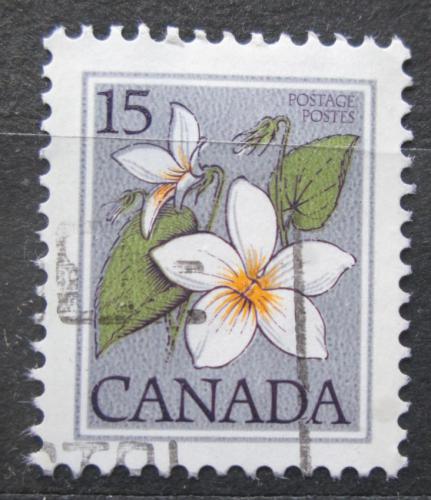 Poštová známka Kanada 1979 Violka kanadská Mi# 745