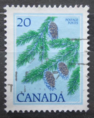 Poštová známka Kanada 1977 Douglaska tisolistá Mi# 664