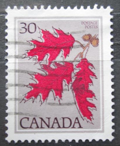 Poštová známka Kanada 1978 Dub èervený Mi# 684